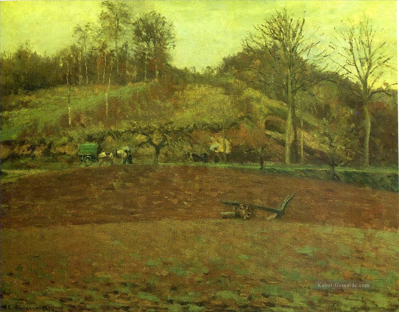 Äcker 1874 Camille Pissarro Szenerie Ölgemälde